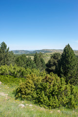 Mountains of Valdelinares a day of Summer