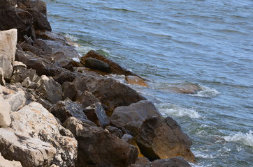 rocks in the sea