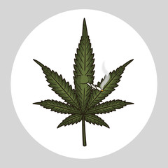 arijuana leaf. Cannabis leaf. Vector illustration isolated on white background.