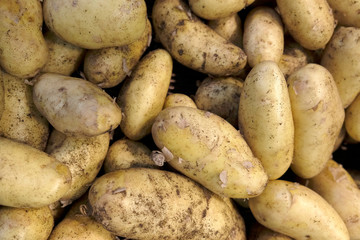 pommes de terre en vrac