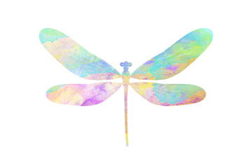 watercolor butterfly. tropical insect for design. isolated on white background