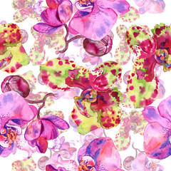 Orchid floral botanical flower. Watercolor background illustration set. Seamless background pattern.