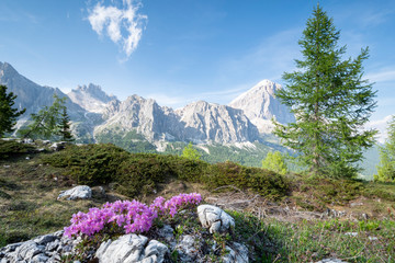 Bergsee in Südtirol