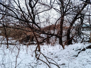 Poltava.Ukraine.Pushkarivka.Winter.