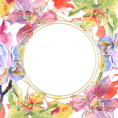 Orchid floral botanical flowers. Watercolor background illustration set. Frame border ornament square.