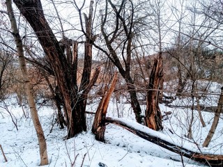 Poltava.Ukraine.Pushkarivka.Winter.