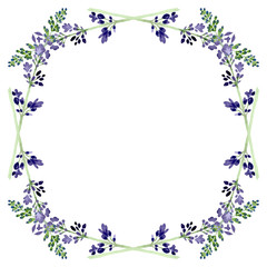 Obraz na płótnie Canvas Violet lavender floral botanical flower. Watercolor background illustration set. Frame border ornament square.