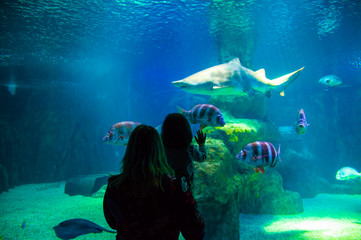 Aquarium
