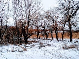 Poltava.Ukraine.Pushkarivka.Winter.