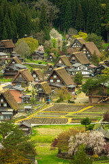 岐阜県 白川郷 春