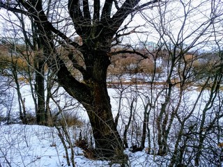 Poltava.Ukraine.Pushkarivka.Winter.