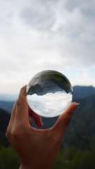 sequoia national park through a lensball