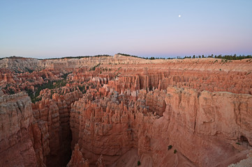 Hoodoos in the natural amphitheatre of Bryce Canyon National Park, Utah, at sunrise.
