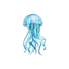 Decorative blue jellyfish isolated on white background. Hand drawn watercolor illustration.