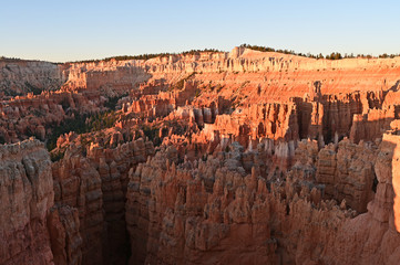 Hoodoos in the natural amphitheatre of Bryce Canyon National Park, Utah, at sunrise.