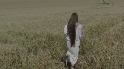 Young lady between 30 and 35 years old is walking in wheat field. Aerial shooting