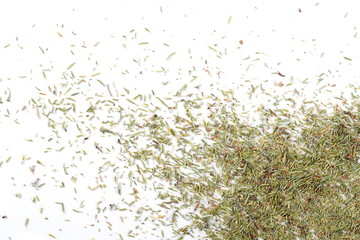 Dry thyme, chopped breckland isolated on white background, top view 