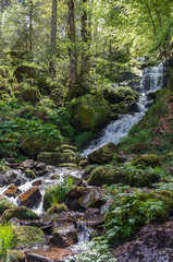 Neuviller-la-Roche 17