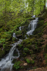 Neuviller-la-Roche 14