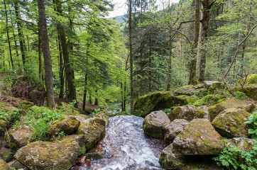 Neuviller-la-Roche 13