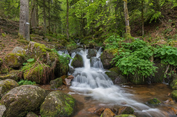 Obraz premium Neuviller-la-Roche 10