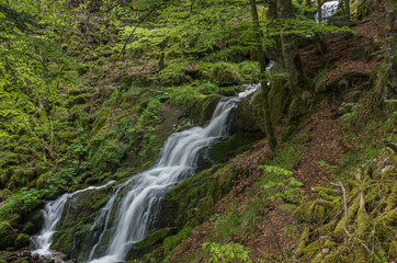 Neuviller-la-Roche 06