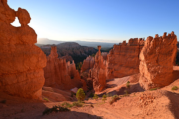 Fototapeta na wymiar The rock formation known as Thor's Hammer in Bryce Canyon National Park, Utah, at sunrise.