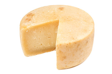 delicious cheese parmesan on white