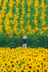 まんのう中山ひまわり団地