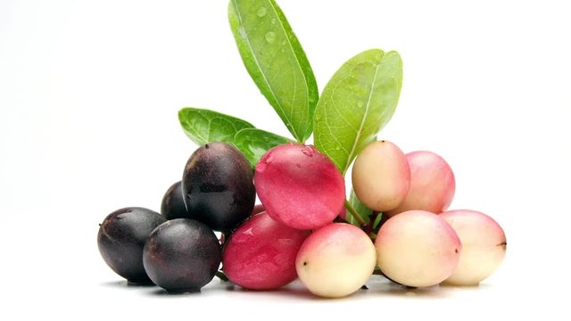 Karonda Fruit or Carunda Fruit (Carissa carandas L.), Christ's thorn on white background. HD 1920 &times; 1080