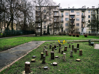 Park in the city 1