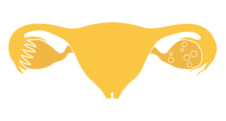 Iinternal organs of women. Uterus, ovaries and fallopian tubes. Illustration, flat design. Isolated on white background