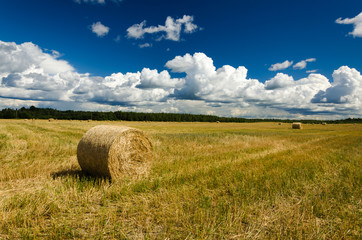 Landscape of haystacks on the field - 276528231