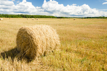 Landscape of haystacks on the field - 276528639