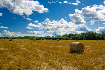 Landscape of haystacks on the field - 276529027