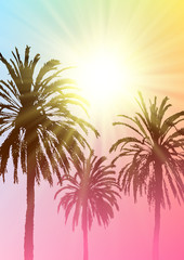 Summer tropical background with palm trees silhouettes on sunny sky