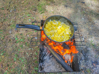 food cooked in nature fried potatoes in a skillet
