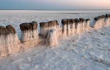 Old wooden logs are Packed deep into the salty lake.