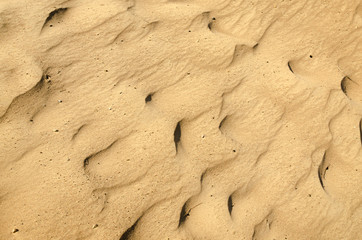 Sand texture for summer background
