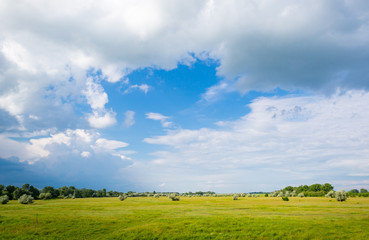 green meadow and clouds