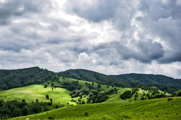 Obraz premium foothills