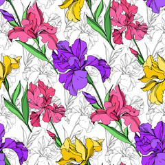 Iris floral botanical flowers. Black and white engraved ink art. Seamless background pattern.