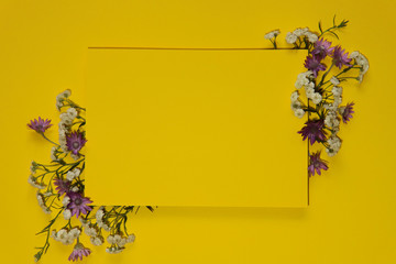 Background, postcard. Yellow background with white and lilac wildflowers, in the center is a clean yellow sheet of paper. Close-up, free space in the center, horizontal. Concept design and greetings.