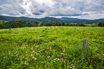 the view of the mountains in the Altai