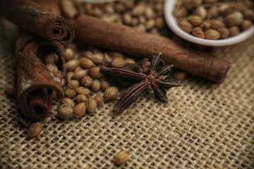 Coriander seeds on a ceramic spoon with cinnamon and star anise isolated on wooden background. Close-up, selective focus and shallow DOF.