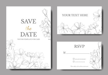 Fototapeta na wymiar Vector Flax botanical flowers. Gray engraved ink art. Wedding background card floral decorative border.