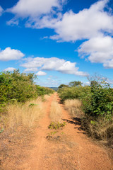 Countryside road in Oeiras, Piaui state, Brazil - Sertao landscape