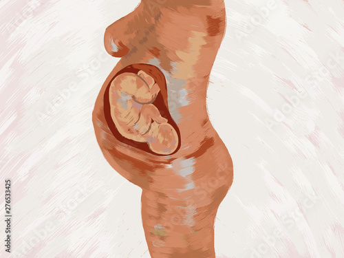 Profile Of Pregnant Woman On White Background Stock Photo