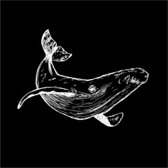 Black white illustration of a whale raising tail in the sea waves. An idea for a tattoo. Chalk on a blackboard.