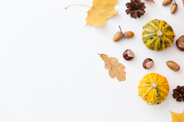 nature, season and botany concept - different dry fallen autumn leaves, chestnuts, acorns and pumpkins on white background